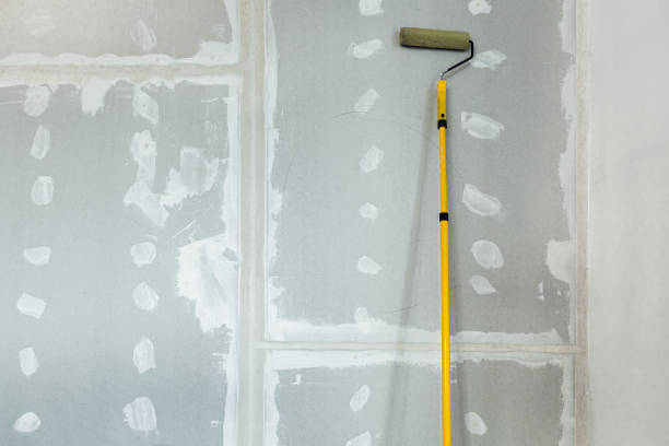Best Basement Mold Removal  in Lincoln, AR