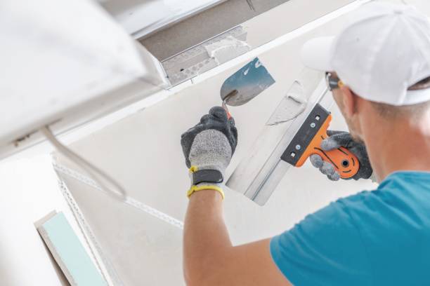 Best Environmental Consulting for Mold Prevention  in Lincoln, AR